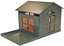 Durable Bird Proof Squirrel Feeder - If You Can't Beat Them, Feed Them