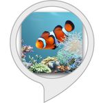 Fish Tank for Echo Show