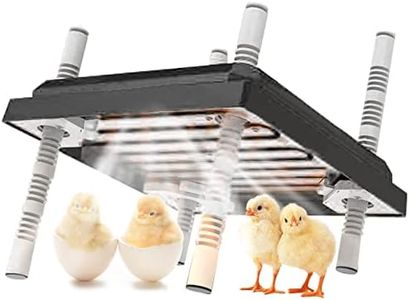 Chick Broo