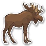 2 x Moose Vinyl Sticker Bike Laptop Car Travel Luggage Tag Canada Animal #4763 (10cm x 10cm)