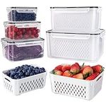 5 PCS Large Fruit Containers for Fr
