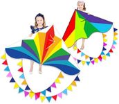 Flying Hoofer Large Rainbow Delta Kites for Kids & Adults,Single Line Beach Kite for Kids Ages 4-8 & 8-12,Easy Fly Kite for Toddlers and Beginners(2 Pack).