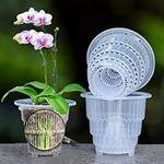 Meshpot 6 inch Clear Orchid Pots wi
