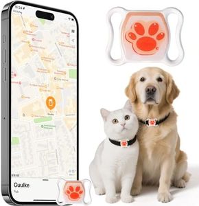 Cat Tracke