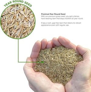 GroundMaster Premium Lawn Grass Seed 1KG – Hard Wearing, Fast Germination, Pet-Friendly, Covers 60m²