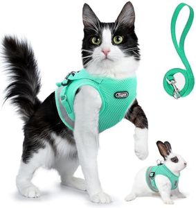 Supet Cat 