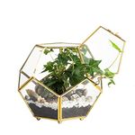 NCYP Gold Glass Geometric Terrarium with Door for Fern Moss Succulent Air Plants, Handmade Pentagon Closed Garden Planter Pot, Weddding Tabletop Centerpiece 17.5x17.5x15.5 cm (No Plants Included)