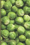 Sprout Notebook: Funny Brussel Sprout Lined Journal, The Perfect Novelty Sprout Gift for Anyone who Loves Brussels Sprouts