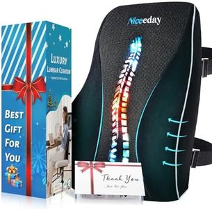 Lumbar Sup