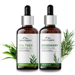 Aravi Organic 100% Pure Tea Tree And Rosemary Essential Oil For Healthy Hair and Skin - For Women and Men -15 ml Each