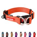 EzyDog Double Up Dog Collar - Reflective Dog Collar with ID Tag D-Ring, For Small to Large Dogs - Soft-Touch, Reflective, Durable - For Active Pets