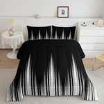 Feelyou Gradient Dark Comforter Set Abstract Stripe Comforter Simple Style Modern Design Art Bedding Set Breathable Modern Luxury Duvet Set Room Decor Quilt Set Queen Size