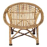 Avika Wood Cane Bamboo Lawn Chair with Cushion (Brown)