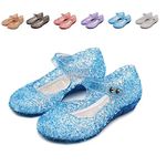 Frozen Inspired Elsa Flats Mary Jane Dance Party Cosplay Shoes, Snow Queen Princess Birthday Sandals for Little Girls, Toddler Blue 10 UK