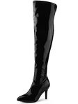 Allegra K Women's Over The Knee Boots Thigh High Pointed Toe Stiletto High Heels Long Fall Sexy Boots, Black, 9.5