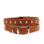 Ancol Comfortable Durable Leather Tan Stud Collar Pet Training Accessory 26-31cm, Size 2