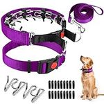 Dog Prong Training Collar, Dog Choke Pinch Collar with Nylon Cover Comfort Tips and Quick Release Snap Buckle, Dog Classic Collar and Dog Leash for Small Medium Large Dogs