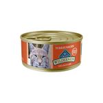 Blue Buffalo Wilderness High Protein Grain Free, Natural Adult Pate Wet Cat Food, Turkey 155G Cans (Pack Of 24)