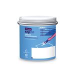 Asian Paints Terrace Coating, Clear Finish 1L