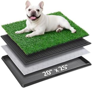 Dog Grass 