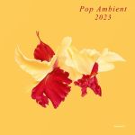 Pop Ambien