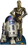 Advanced Graphics R2D2 & C3PO Life 