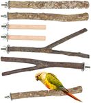 6 Pack Bird Perch Stand Set, Bird C