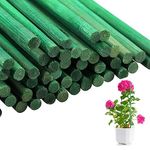 Almineez 50Pcs Green Plant Support Sticks 90cm / 35.5 inch Bamboo Plant Stakes Split Canes, Floral Sticks Garden Flower Sticks for Orchid Pea Vegetables Support Floral Plant Stakes