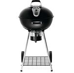 Napoleon Charcoal Grill