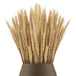 100pcs 40cm Dried Wheat Flowers Sheaves Dry Wheat Grass Bouquet Dried Wheat Grass Bundle Artificial Wheat Dried Flowers for Fireplace Home Kitchen Church Table Wedding Christmas Wreath Decoration 1