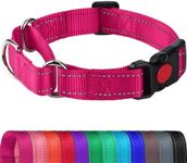 Joytale Martingale Collar for Dogs,