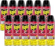 Raid Ant &