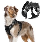 rabbitgoo Dog Harness Medium, Tactical Adjustable No Pull Harness, Military Dog Harness with Molle Panel, Reflective Soft Padded Pet Vest with Easy Control Handle for Walking Training, Black, M