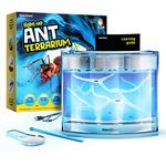 Ant Farms