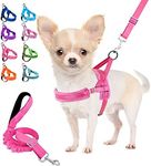 Lukovee Dog Harness and Leash Set, 