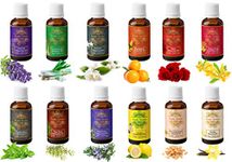 Exotic Aromas Essential Oil Lavender Rose Tea Tree Vanilla Frankincense Rosemary Jasmine Ylang Ylang Peppermint Mandarin Lemongras Lemon Pack of 12