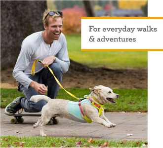 RUFFWEAR Hi & Light Dog Harness – Adjustable No Pull, Sage Green (S, 56-69cm)