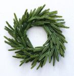 12" Artificial Norfolk Pine Wreath - 12 Inch Realistic Christmas Wreath, Indoor Holiday Decor for All Year Round, Faux Christmas Wreaths for Front Door and Window