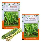 Easiest Grass Seed To Grow