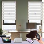 Graywind Motorized Zebra Sheer Blinds Compatible with Alexa Horizontal Light Filtering Window Shades Remote Roller Blinds with Valance for Smart Home and Office, Customized Size, White