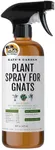 Plant Spray Bottle for Insects (16oz) by Kate's Garden. Garden Plant Care Peppermint Oil Spray for Bugs. Fungus Gnat Killer for Indoor Plants & Outdoors. Insecticide for Fruit Flies, Spider Mites.