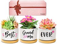 Grandma Gifts, Grandma Birthday Gifts, Best Grandma Ever Succulent Pots Gifts for Grandma from Grandchildren, Great Presents for Grandma on Birthday Mother's Day Christmas