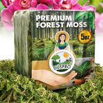 DUSPRO Dried Forest Moss for Potted Plants Orchid Moss Potting Mix Indoor Ideal Moist Repotting Sphagnum Orchid, Terrarium Decor, Natural Reptile Vine (4 Quarts)