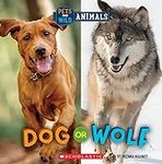 Dog or Wolf (Wild World: Pets and W