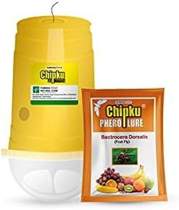 Chipku Fly