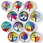 12Pcs Cute Glass Magnets for Fridge,Beautiful Locker Magnets Decorations, Strong Magnetic Magnets for Office Cabinets,Whiteboard, Kitchen