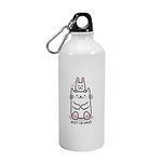 YaaNaa - Aluminium Sipper Water Bottle of Friendship Day - Best Friends Cat & Bunny, Friendship Day Gifts for Girls, Gifts for Friendship Day for Boys|Girls|Best Friends, 600-R1333