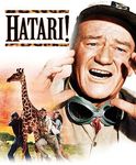 Hatari