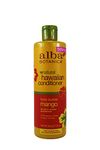 Alba Botanica Hawaiian Moisturizing Hair Conditioner, Body Builder Mango 12 oz (Pack of 2)