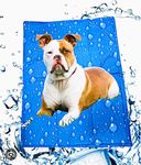 PetaHouse Premium Cooling Pad for Dog (New Size L 50CM X W 90CM)| Self Pressure Mat | Soft Bed for Pet with Activated Heat Relief Specially Designed for Large Breeds (Pack of 1)